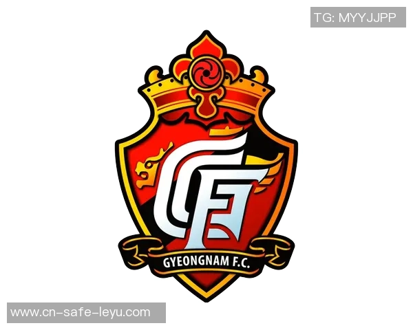 庆南足球俱乐部崛起之路探索与挑战的完美结合